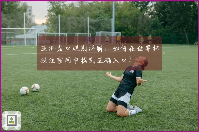 亚洲盘口规则详解，如何在世界杯投注官网中找到正确入口？