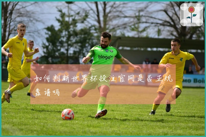 如何判断世界杯投注官网是否正规靠谱吗